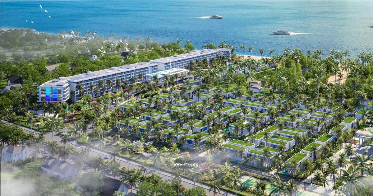 Các công ty con Bamboo Capital đồng thời công bố thông tin lãnh đạo bị khởi tố