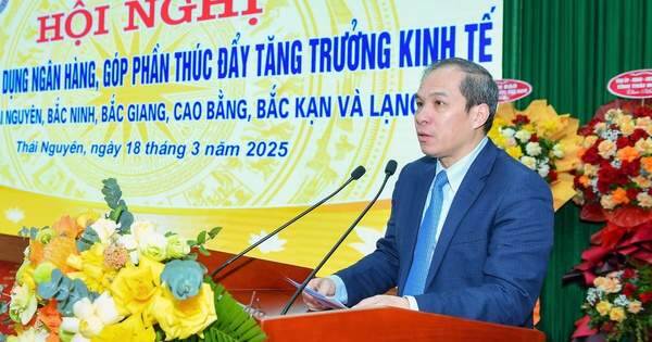Phó Thống đốc nói gì?