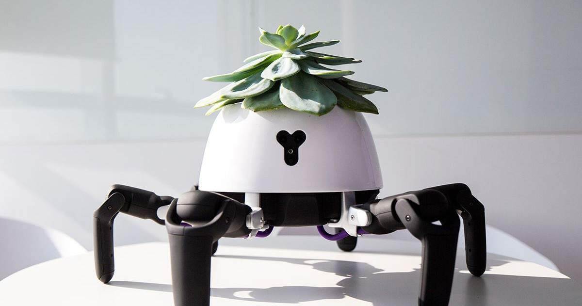 Robot trồng cây có thể tự di chuyển về phía ánh sáng