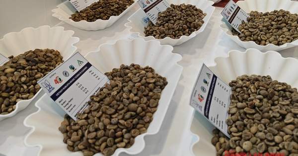 Tăng nóng, có thể lập đỉnh 135.000 đồng/kg