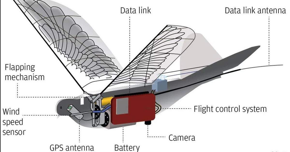 Trung Quốc giám sát người dân bằng drone robot hình chim