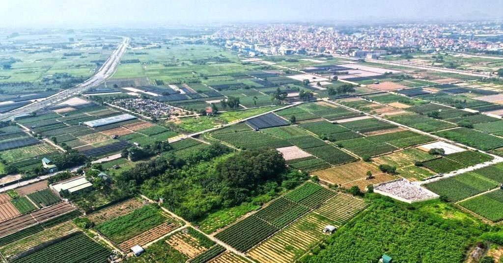 Hưng Yên sắp đấu giá 260 thửa đất, khởi điểm thấp nhất 18 triệu đồng/m2
