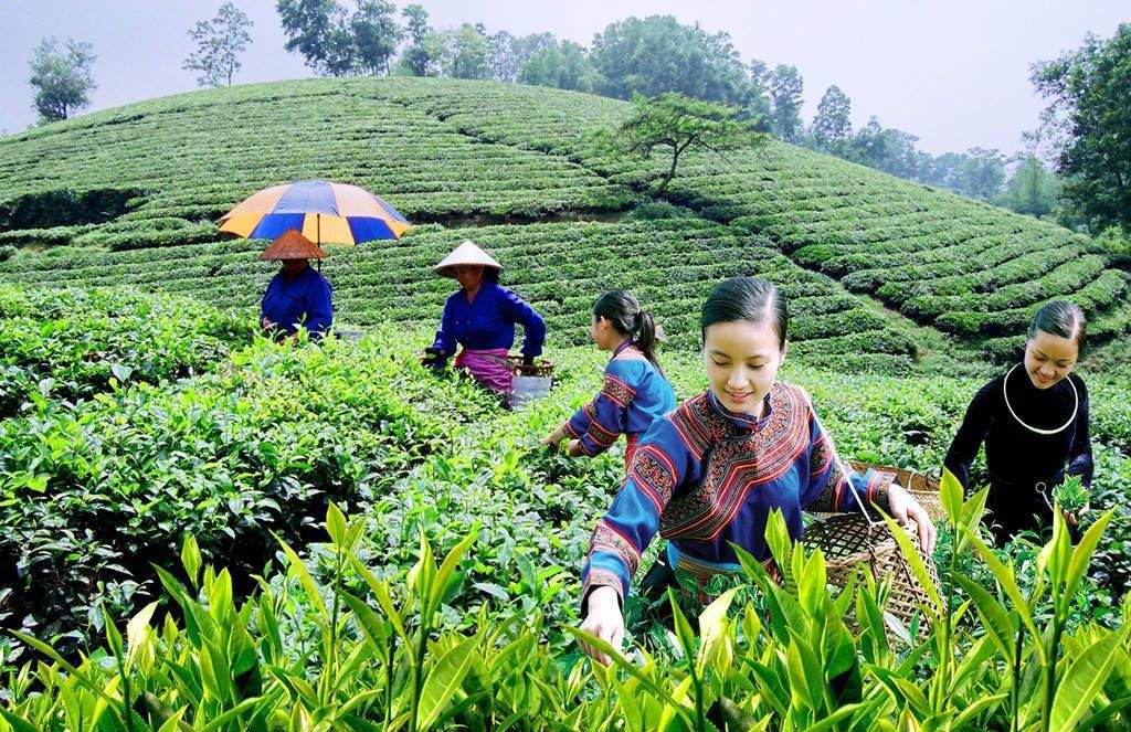 Thực hiện tốt nhất phát triển KTXH vùng đồng bào dân tộc thiểu số và miền núi