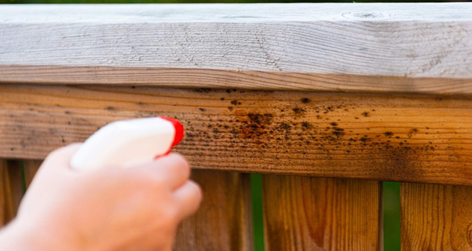 Cách xử lý vết ố trầy xước trên đồ gỗ chỉ với nguyên liệu rẻ tiền nhà có sẵn