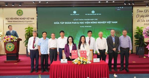 Doanh nghiệp "bắt tay" nhà khoa học, đưa giống cây trồng Việt Nam ra thế giới