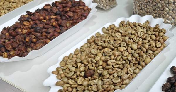 Giá Robusta quốc tế tăng, trong nước tiếp tục giảm