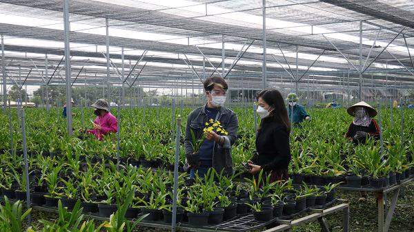 Hải Phòng đề xuất mỗi năm hỗ trợ 375 tỷ đồng cho phát triển nông nghiệp