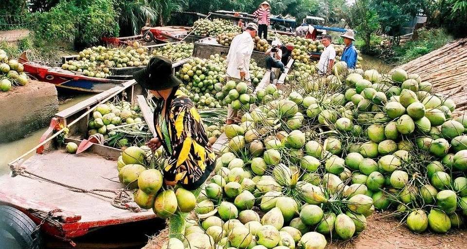 Loại quả Việt Nam có 2 triệu tấn, khách Mỹ và Trung Quốc tranh mua để giải nhiệt