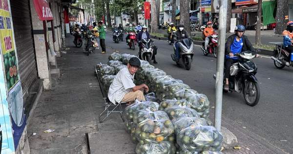 Nắng nóng, cam sành “giải cứu” tăng giá