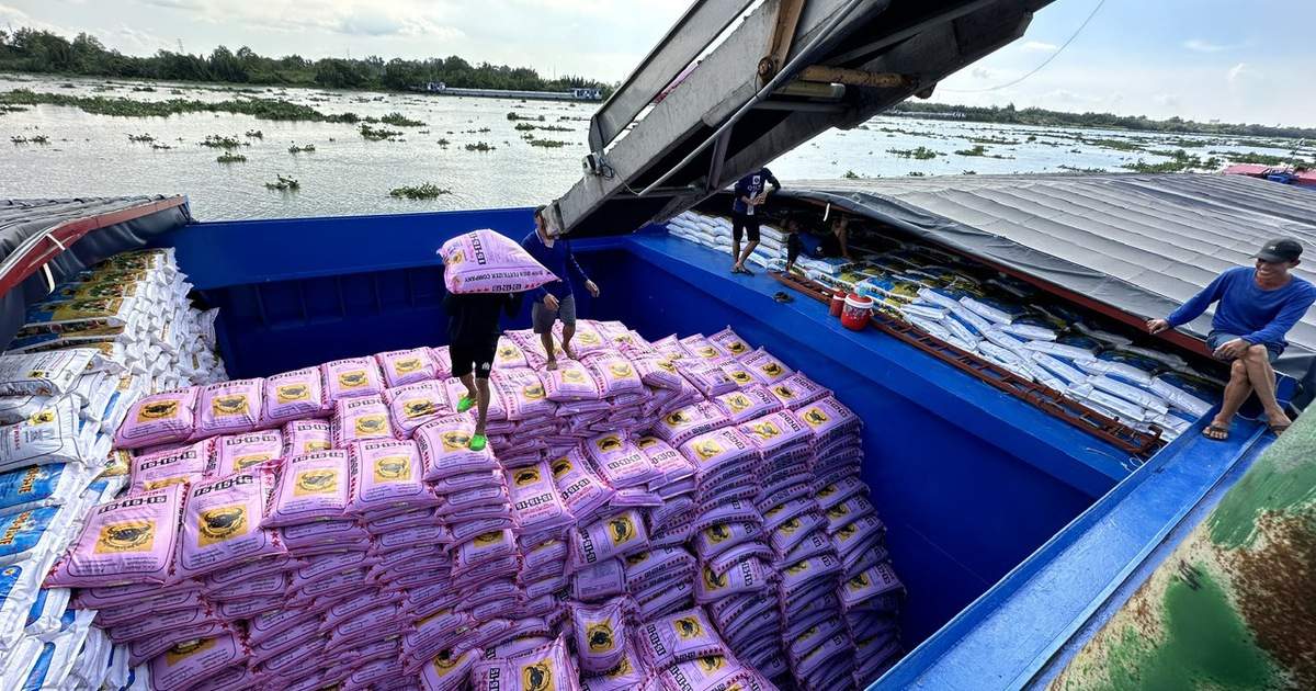 Nông sản trúng mùa, doanh nghiệp phân bón lãi khủng