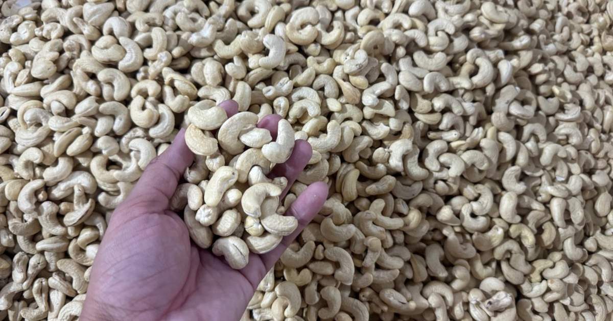 Vì sao 'vua điều' 10 năm chưa đòi được 4 container hàng bị mất?