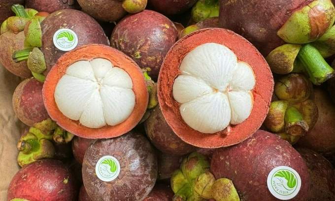 Vietnamese mangosteen sought after despite 50% price gap with Thai fruit