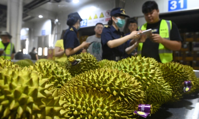 Why Thailand is winning China’s favor in durian export race