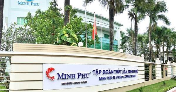 Thủy sản Minh Phú kỳ vọng có lãi trở lại trong năm 2025, con gái Chủ tịch được đề cử vào HĐQT
