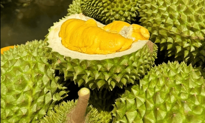 Vietnamese durians gaining popularity across China