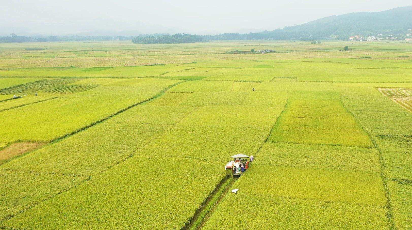 Thái Nguyên tăng tốc thực hiện chương trình giảm nghèo bền vững đến năm 2030