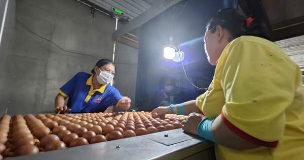 Ba Huân bị nợ thuế hơn 51 tỉ đồng và những thông tin cần biết