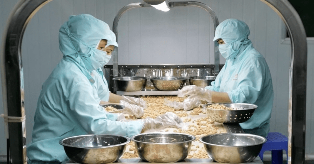 Ba nông sản Việt Nam cùng phá kỷ lục, dự báo đem về hơn 14 tỷ USD