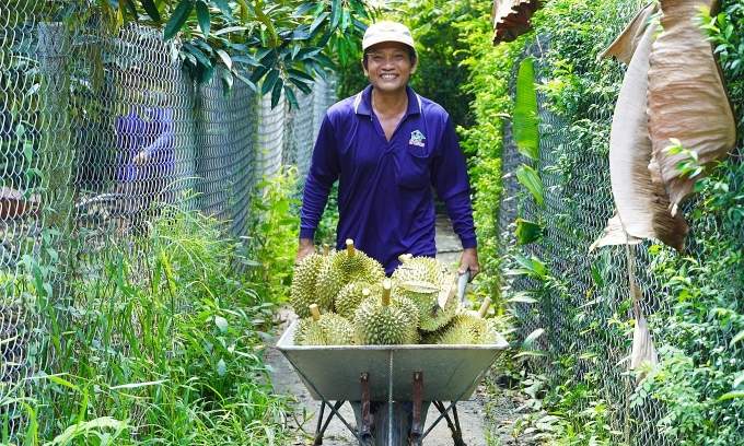 China buys nearly $1B worth of Vietnamese durian in September