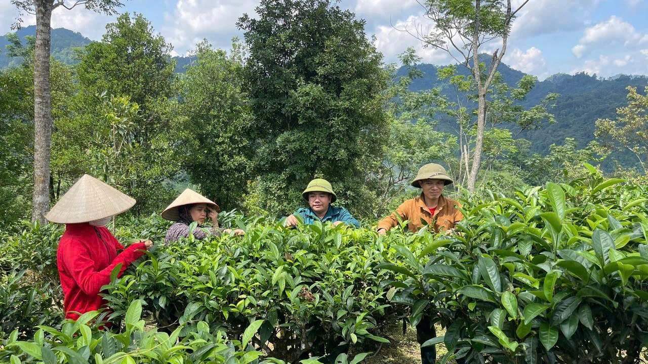 Đa dạng hóa sinh kế để giảm nghèo bền vững