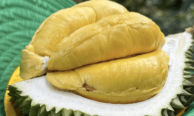 Government orders probe into durian chemical testing disruption