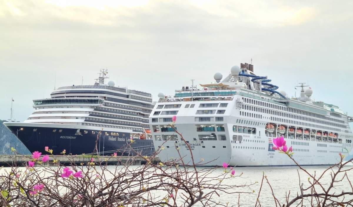 Halong Cruise Port welcomes over 3,100 international visitors