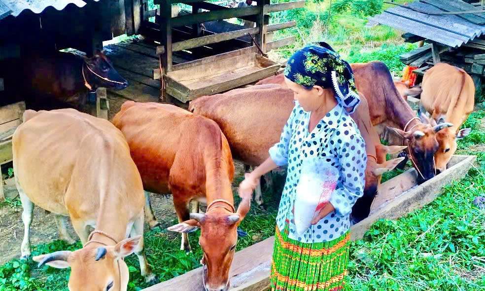 Hành trình đổi thay từ nghèo khó đến phát triển