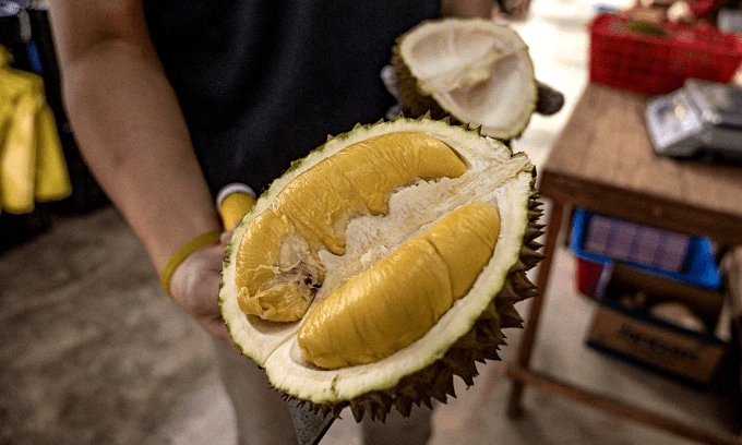 Indonesian minister slams Malaysia’s bid to make durian national fruit