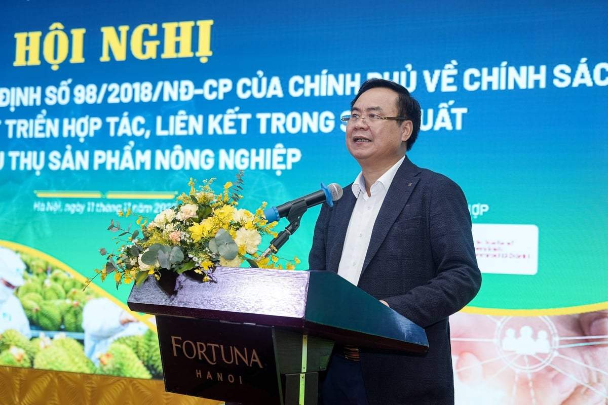 Thứ trưởng Võ Văn Hưng: Năng lực của nhiều hợp tác xã còn yếu, chưa đủ sức trở thành trung tâm của liên kết.