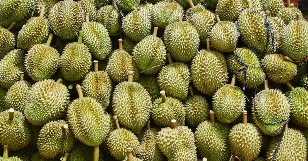 Nhiều lần ‘báo động khẩn’