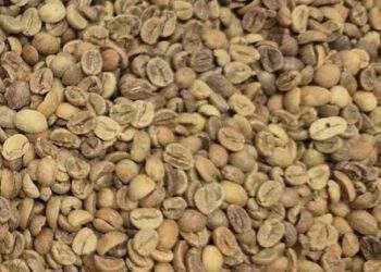 Giảm phiên thứ 6 liên tiếp