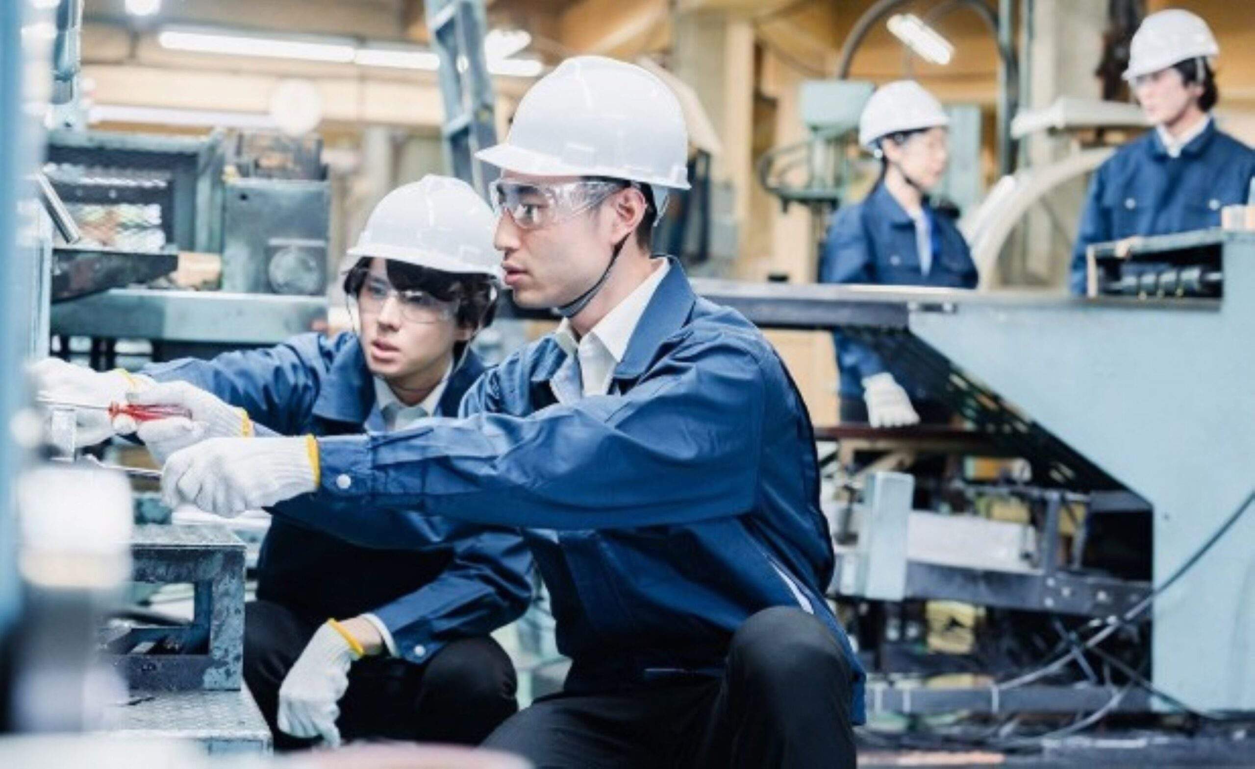 Góc nhìn chuyên gia Nhật Bản