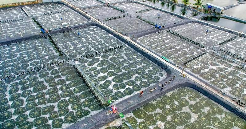 Kinh tế tuần hoàn - Giải pháp cho phát triển bền vững