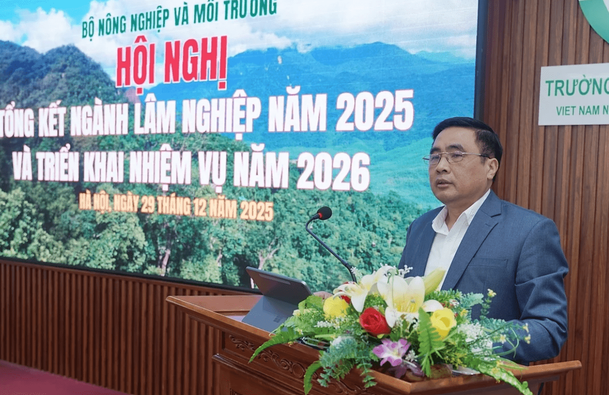Ngành Lâm nghiệp cần “đòn bẩy” quản trị hiện đại trước yêu cầu tăng trưởng cao