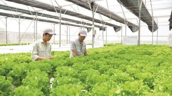 Tạo điều kiện cho doanh nghiệp, hợp tác xã tiếp cận gói tín dụng xanh, ưu đãi