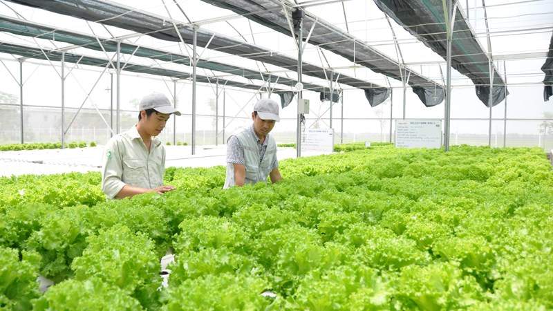 Tỉnh Ninh Bình định hướng thu hút các dự án nông nghiệp sinh thái, hữu cơ, tuần hoàn, ứng dụng công nghệ cao