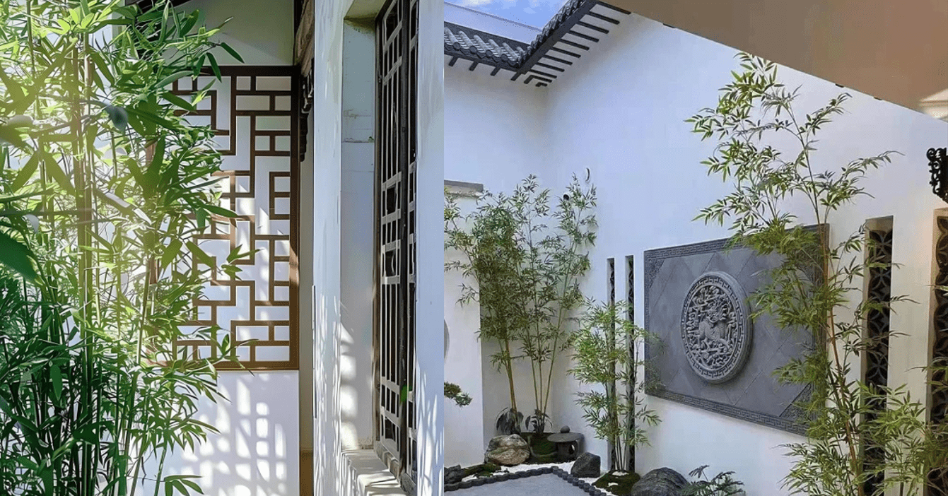 4 vị trí trồng tre trong khuôn viên nhà ở để có lộc