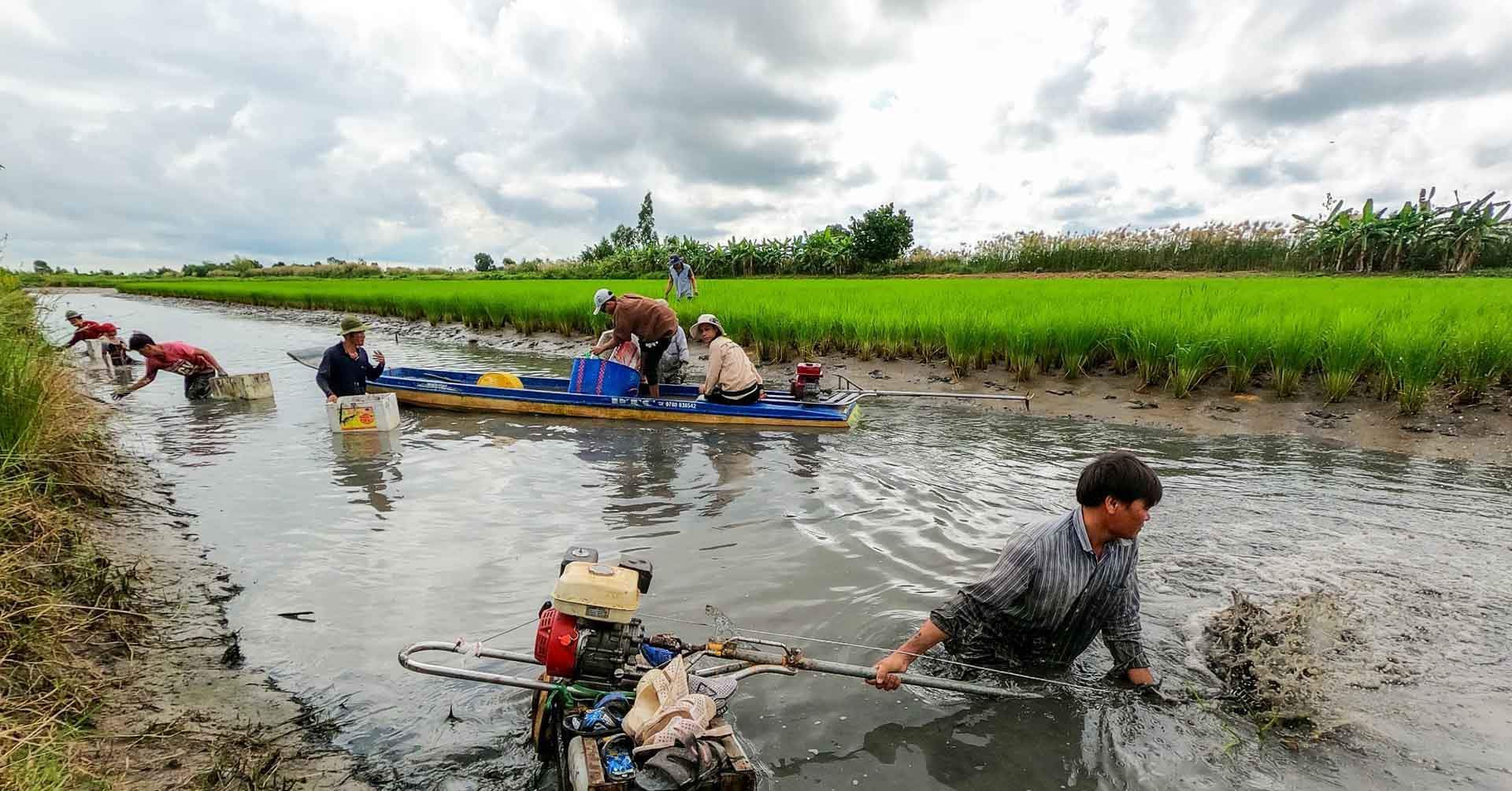 Cà Mau, từ ‘vùng trũng nghèo’ đến sinh kế thuận thiên 