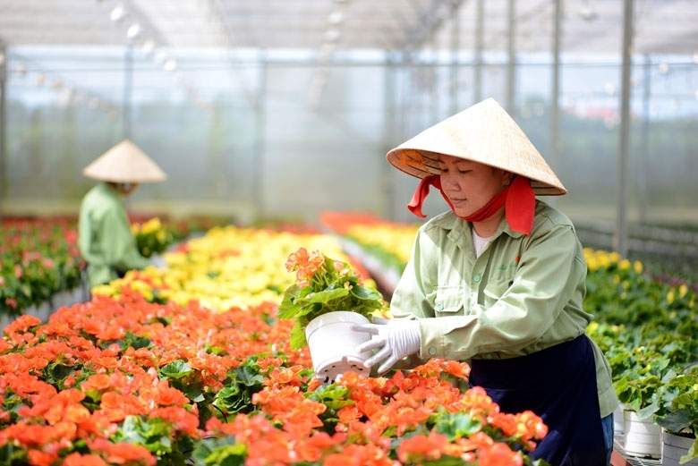 Đổi mới, nâng cao chất lượng đào tạo nghề nông thôn đến năm 2030