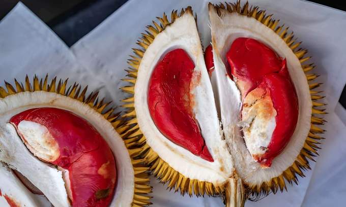 Red durian could become Malaysia’s next big agro-tourism hit, says assemblyman