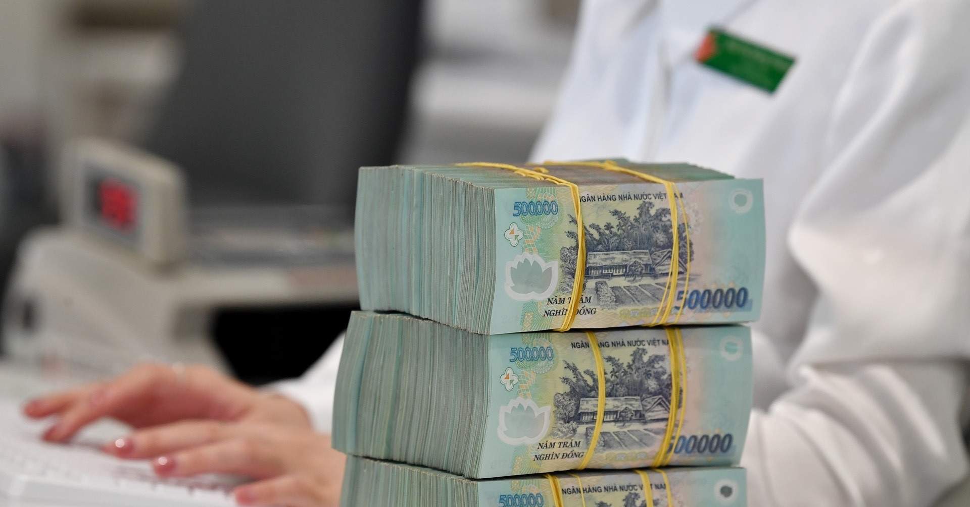 Tưởng bỏ phố là tự do tài chính, 2 năm sau lỗ gần 800 triệu đồng