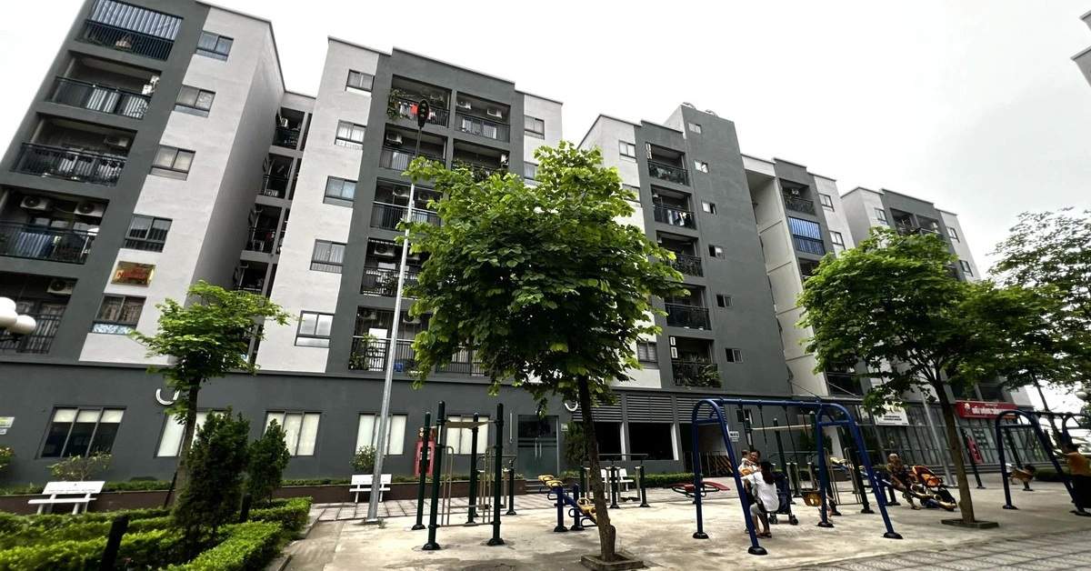 Thủ tướng: Điều tra, xử lý nghiêm môi giới trái phép, thao túng hồ sơ mua nhà ở xã hội