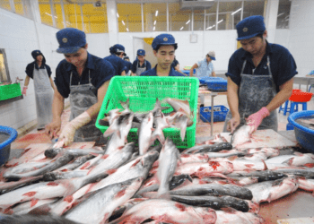 Giá cước tăng cao, lúa gạo, thủy sản, phân bón cùng gặp khó