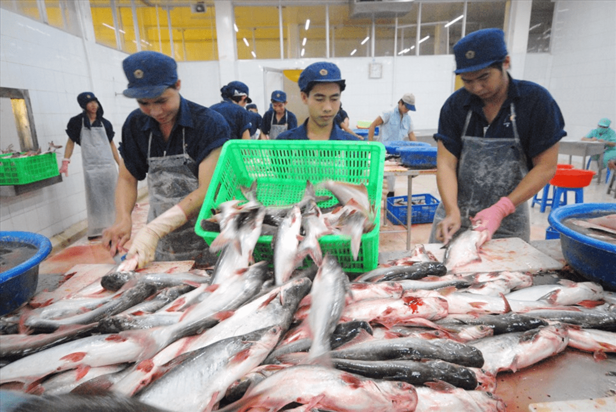 Giá cước tăng cao, lúa gạo, thủy sản, phân bón cùng gặp khó
