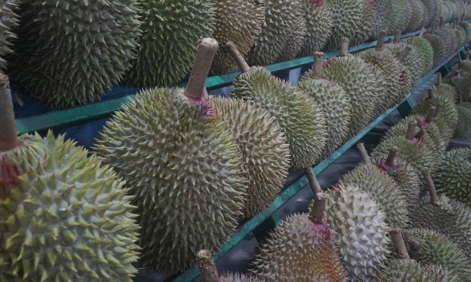 Indonesia offers free durians to spur Gen Z’s interest in marriage