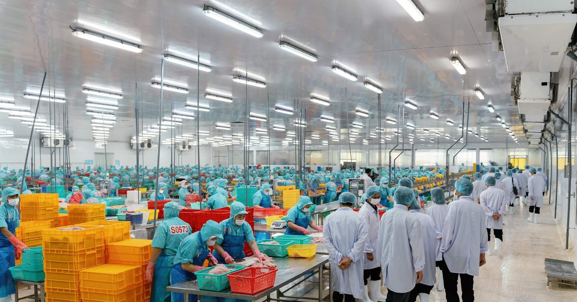 Lãnh đạo tỉnh Thanh Hóa đến thăm và làm việc tại Sao Mai Group