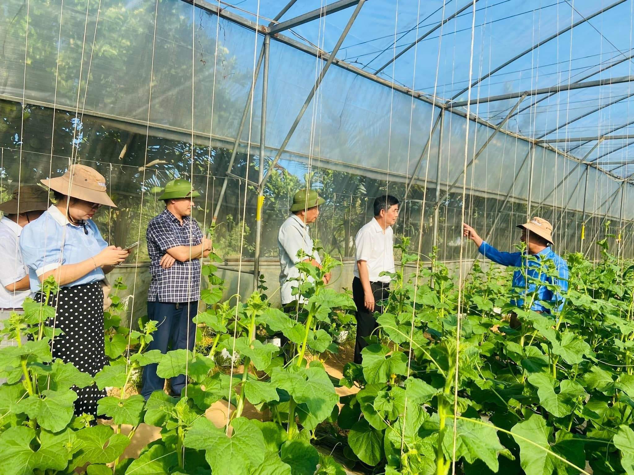 Nhà màng, nhà lưới được khuyến khích đầu tư nhằm thúc đẩy nông nghiệp ứng dụng công nghệ cao.