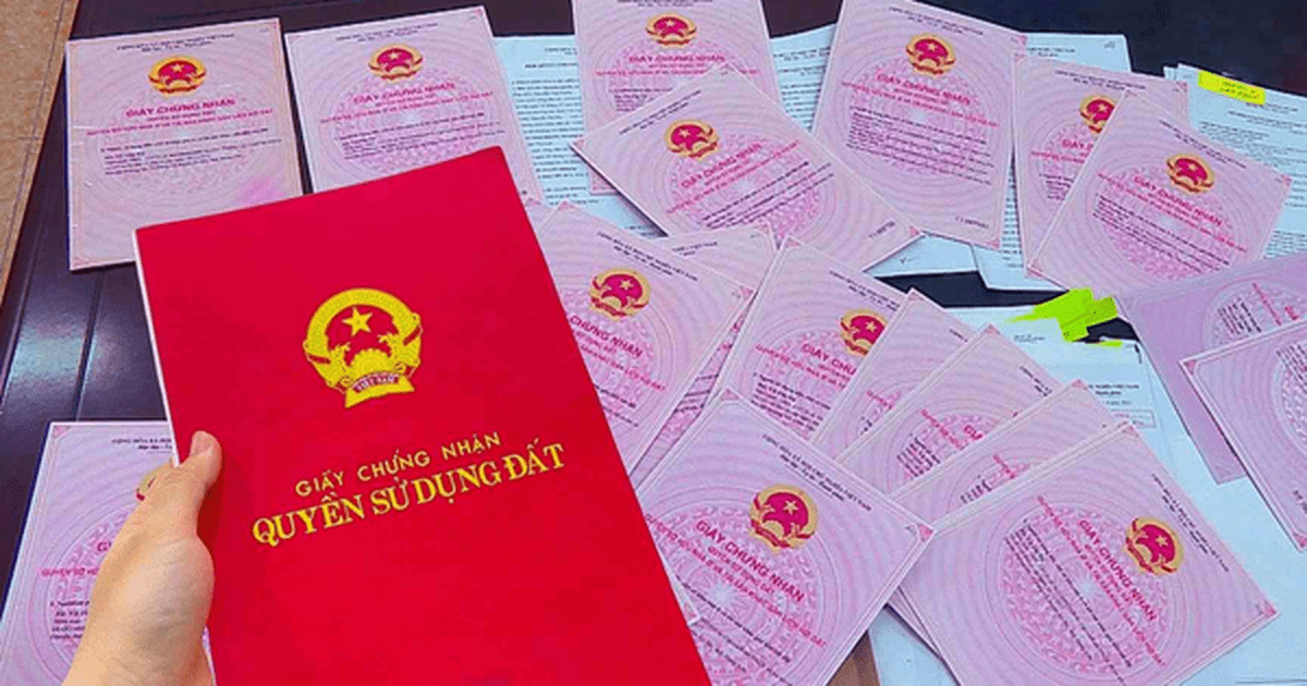 Ngân hàng nhận thế chấp nhầm đất của người khác, buộc phải trả lại sổ đỏ