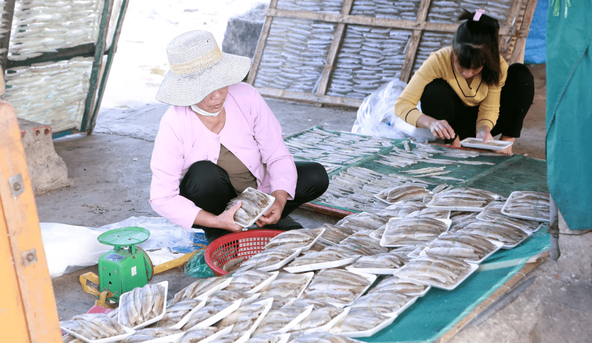 Phụ nữ làng biển Diêm Phố, xã Vạn Lộc, Thanh Hoá sơ chế hải sản, làm công tác hậu cần nghề biển...