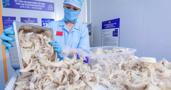 Cục Xuất nhập khẩu lưu ý thay đổi quan trọng với hàng thực phẩm vào Trung Quốc từ 1-6